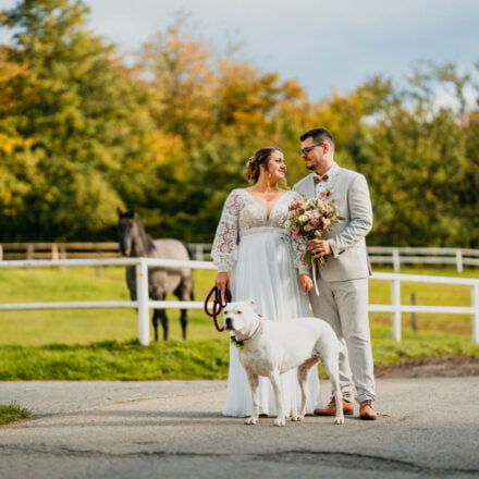 Svatba Františkův Dvůr